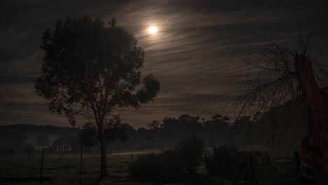 Toma-De-Lapso-De-Tiempo-De-Luna-Llena-En-El-Cielo-Y-Niebla-Y-Nubes-Voladoras-En-La-Noche-En-El-Campo