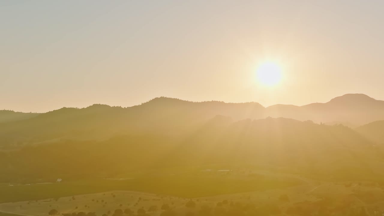 カリフォルニア州ナパバレーのブドウ畑に昇る日の出