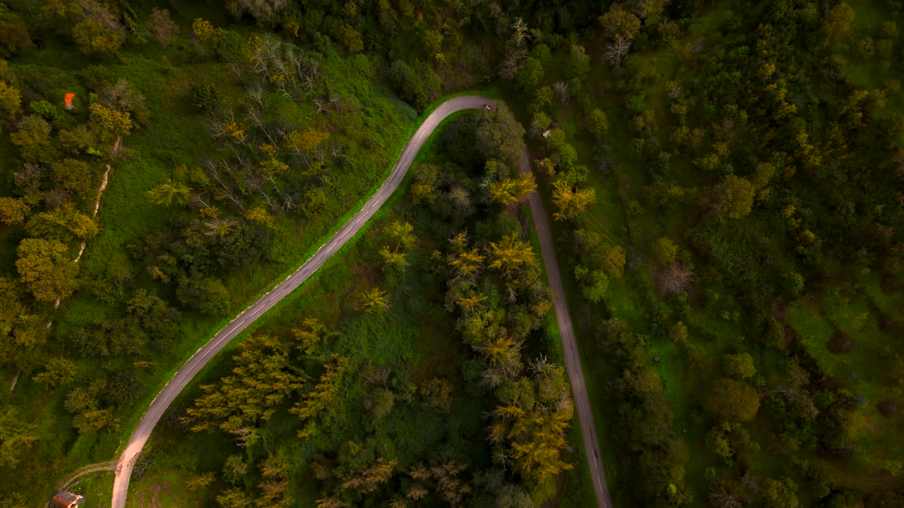 Aerial view of green forest with red car on road