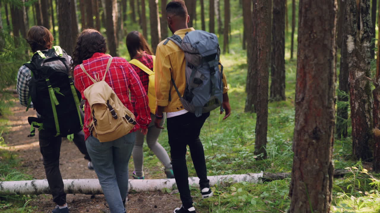 amigos haciendo senderismo en el bosque.