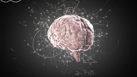 animación del icono del cerebro humano giratorio y ecuaciones matemáticas contra un fondo gris