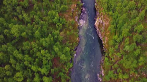 Schmaler-Gewundener-Flussstrom-Durch-Grünen-Wald-Im-Norden-Norwegens