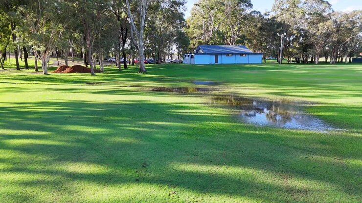 Paesaggio di campo da golf con capanno blu
