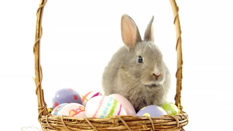 easter eggs and easter bunny in wicker basket