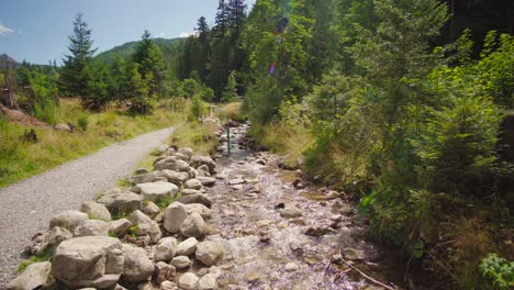 mountain stream at sunny day