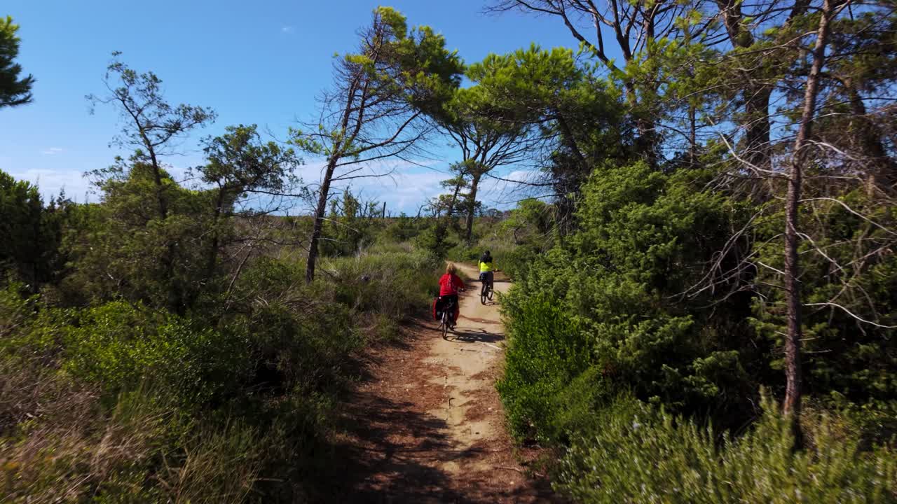 Idosos ativos andando de e-bikes pela trilha da floresta de pinheiros ao longo da costa da praia da Toscana. Aéreo