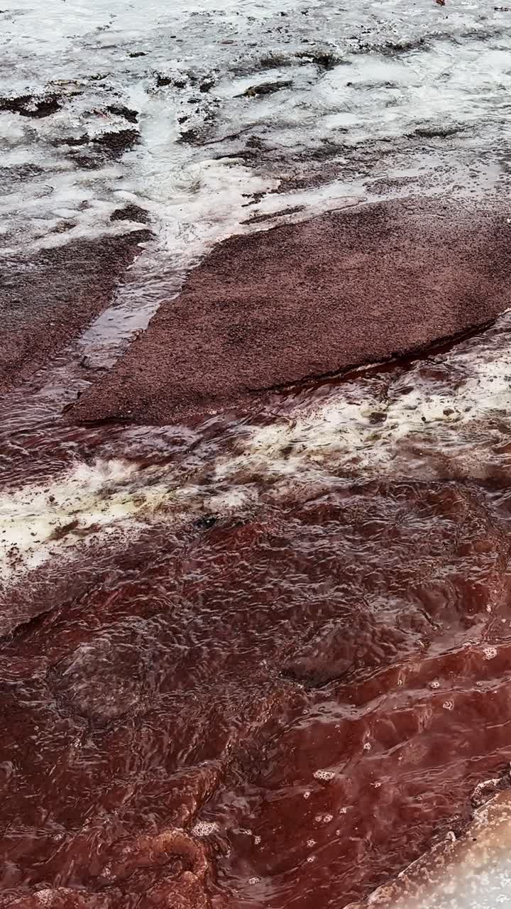L'acqua di disgelo primaverile scorre impetuosamente su un sentiero che si sta sciogliendo, catturando il momento irrequieto in cui l'inverno finalmente inizia a cedere il passo alla primavera.