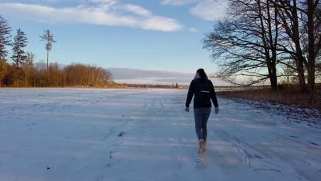 sereno paseo invernal: la aventura de una chica en un paisaje nevado