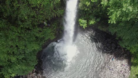 exuberante cascada verde desde arriba