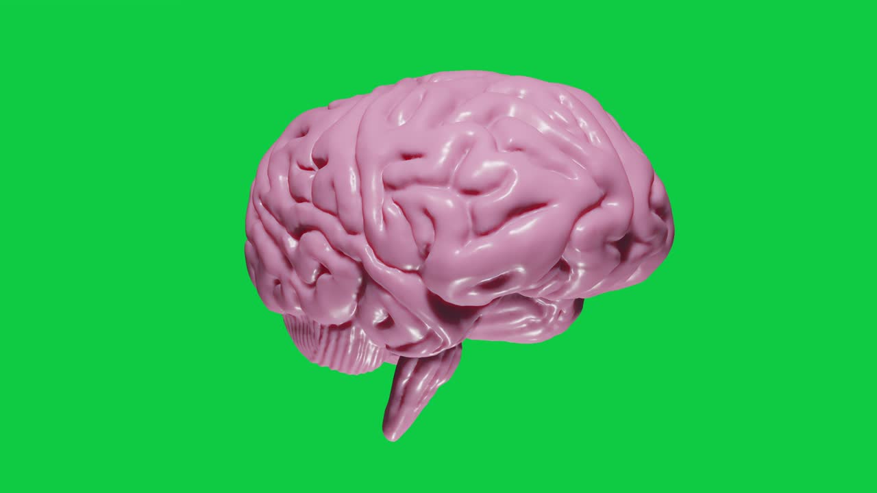 3D rendering Realistic Brain with Light Pink tinted on Green Screen Rotating Seamless Loop
