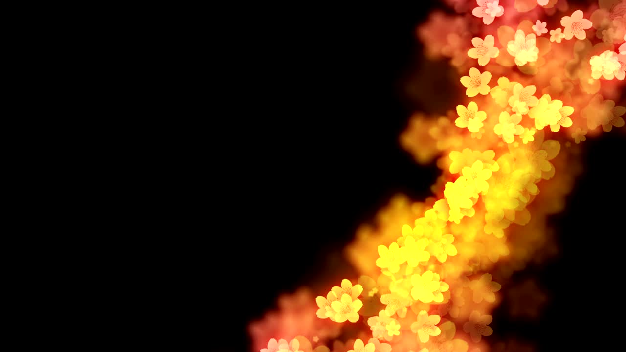 abstract bokeh luz chispas de flor de sahura o flor de cerezo patrón de gradiente de color rosa y amarillo ilustración en fondo negro, animación de bucle sin costuras 4k con espacio de copia izquierdo
