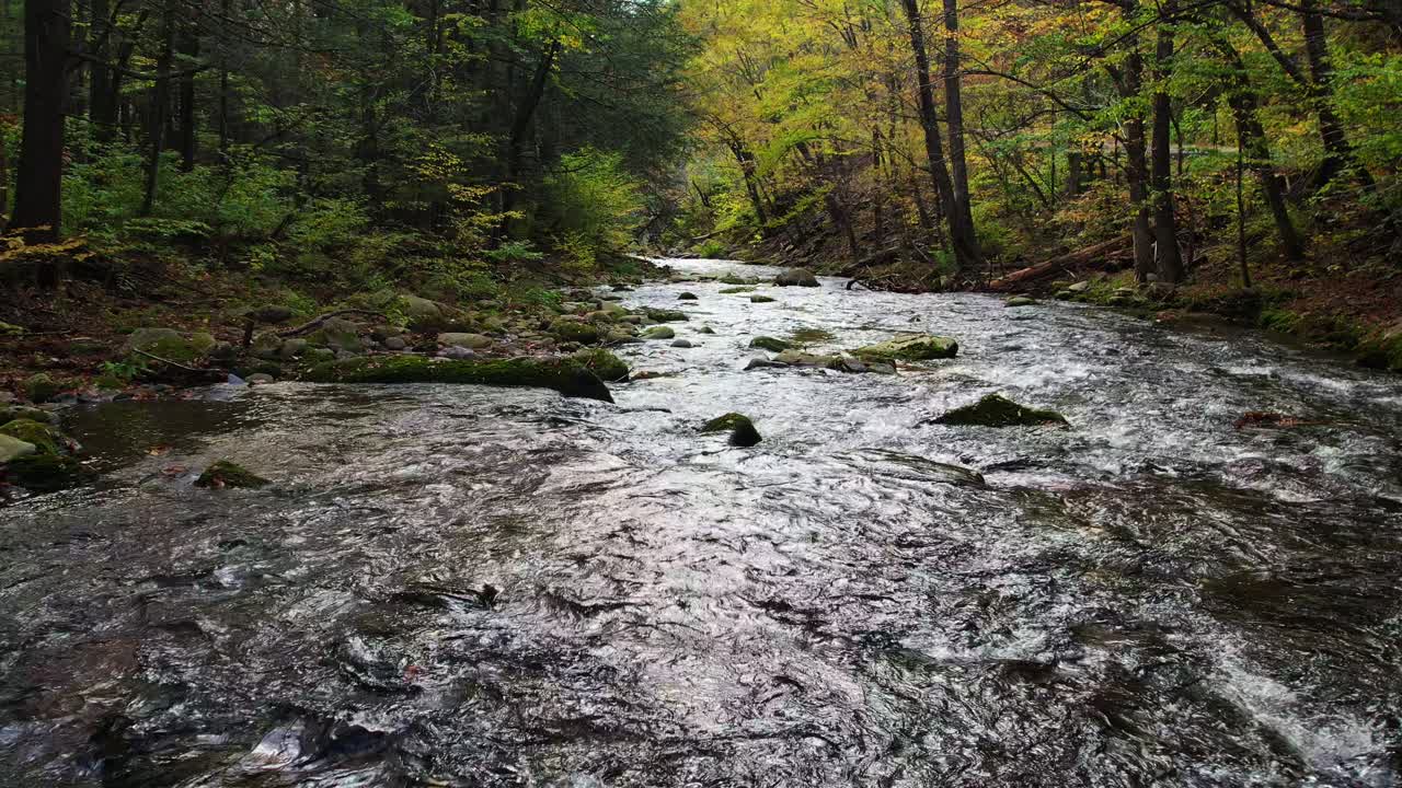 Stunning autumnal forest stream, slow motion drone footage backing down the stream