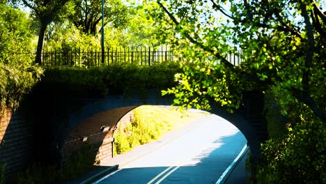 arch bridge with living bush branches in park