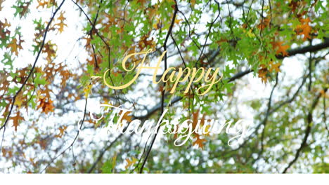 animation of happy thanksgiving text over autumn trees in park