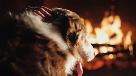 descansar junto a la chimenea con el perro el dueño acaricia a la mascota
