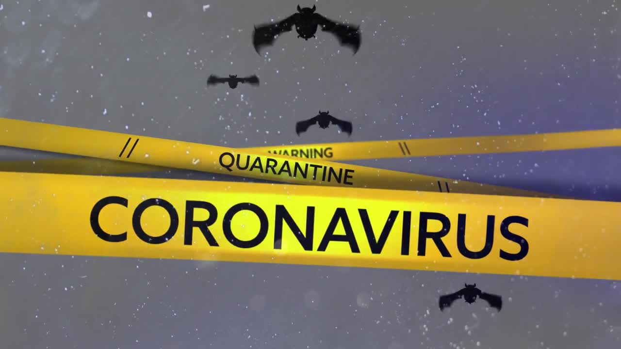 회색 바탕에 코로나바이러스 텍스트가 있는 노란색 경고 테이프로 날아다니는 박 ⁇ 의 애니메이션