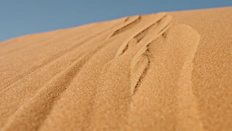 close-up view of sand dunes with ripple patterns