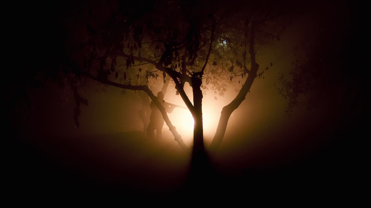Mysterious Night Scene in Fog