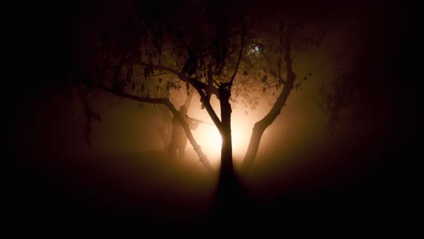 mysterious night scene in fog