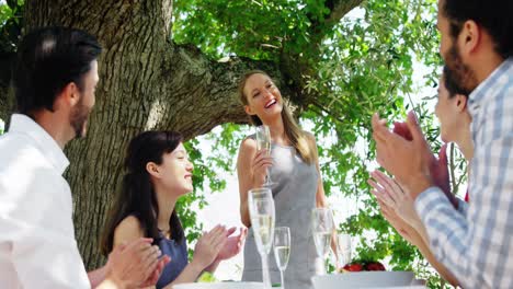 Amigos-En-El-Almuerzo-Al-Aire-Libre-Aplaudiendo-A-La-Mujer.