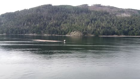 Tug-Boat-Pulling-Logs-in-the-Pacific-Ocean,-Port-Alberni,-Vancouver-Island,-Canada