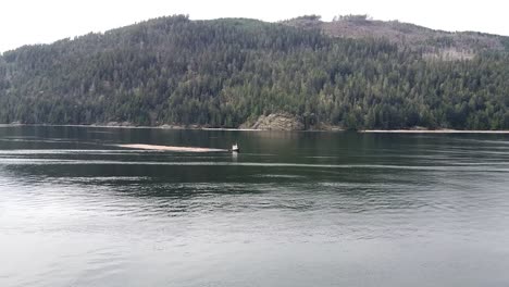 tug boat pulling logs in the pacific ocean, port alberni, vancouver island, canada