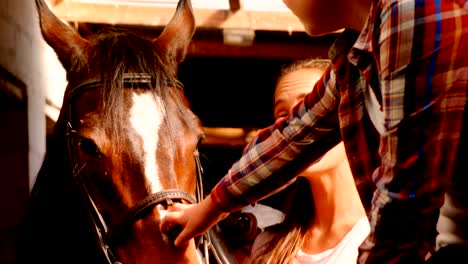 mother and daughter petting a horse 4k