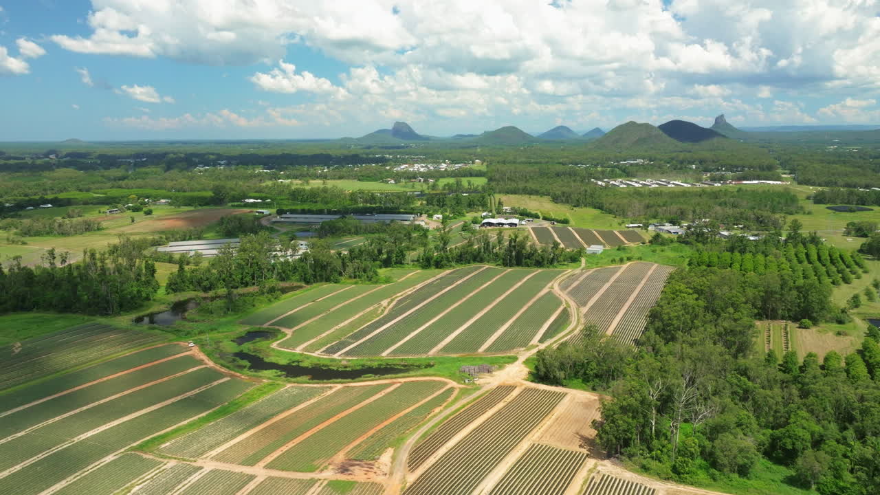 공중 드론 비행 초록색 경치 좋은 농경지 산의 배경, 4k