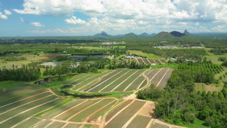 Aerial-Drone-Flyover-Green-Scenic-Farmland-With-Mountain-Backdrop,-4K