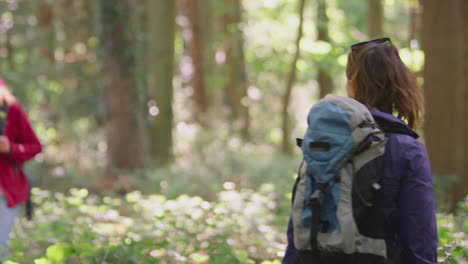 group of young female friends on camping holiday hiking through woods and enjoying nature together