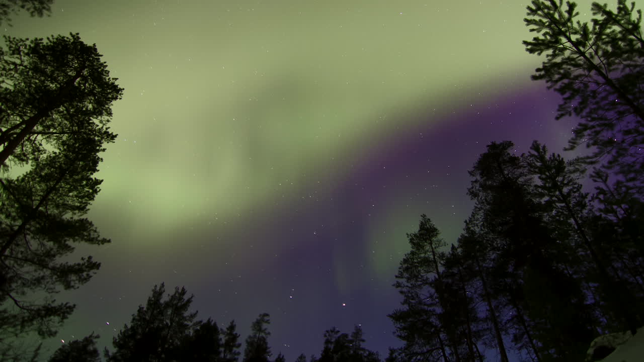 el timelapse en movimiento se aleja de la aurora boreal sobre un claro en un bosque
