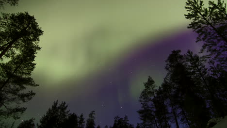 Bewegungszeitraffer-Zoom-Aus-Der-Aurora-Borealis-über-Einer-Lichtung-In-Einem-Wald