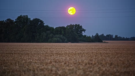 Gelber-Vollmond,-Der-über-Den-Nachthimmel-Fließt,-Zeitraffer