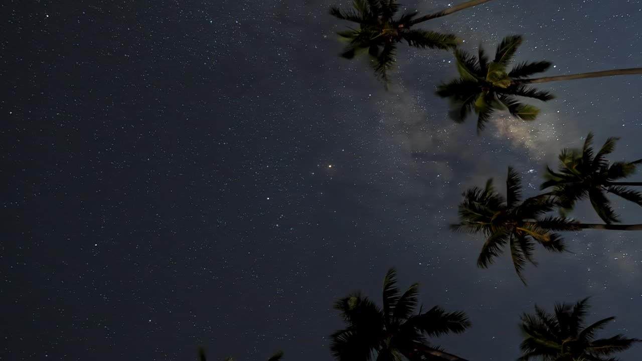 vía láctea, galaxia vertical de lapso de tiempo, enmarcada por palmeras isla de los pinos