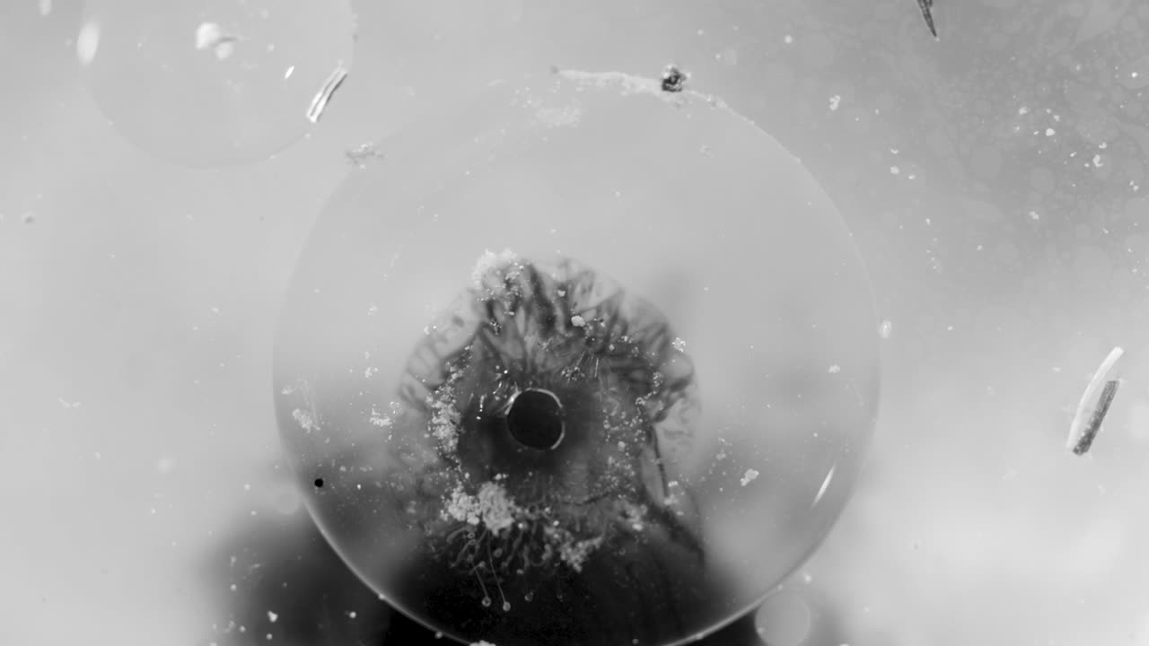 Abstract macro black ink and white liquid orb background texture