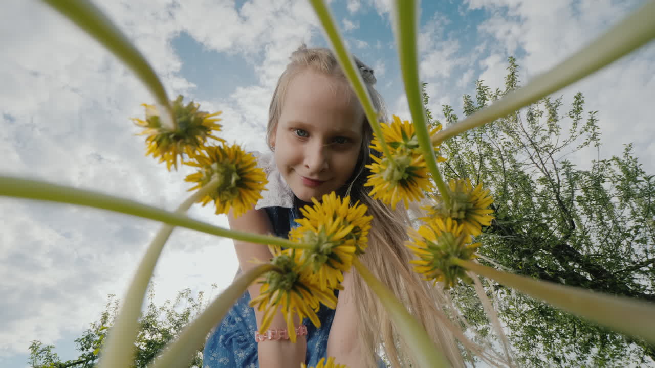 un niño sopla dientes de león en un prado
