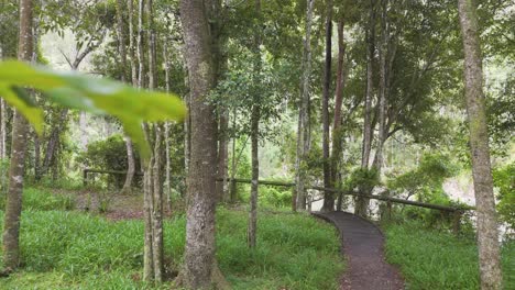 drone loses control and crashes in forest