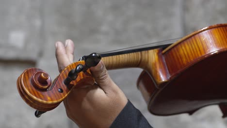 gentleman illustrating the intricate techniques of violin performance