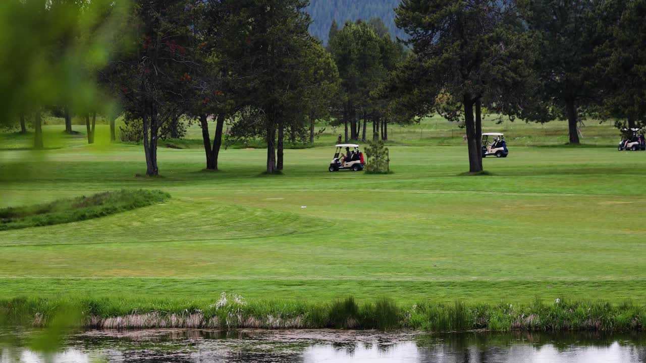 나무 뒤에 골프 카트를 타고 골퍼