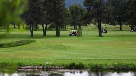 golfers riding on golf cart behind the trees