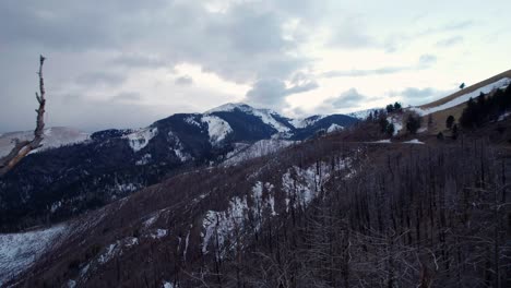 Drone-shot-flying-through-two-dead-trees-in-the-mountains-with-snowy-peaks