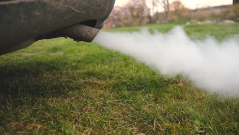 exhaust gases from the muffler of the car