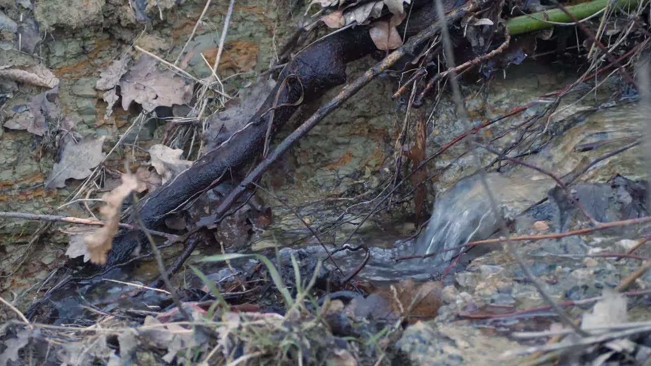 pequeña cascada en el bosque local
