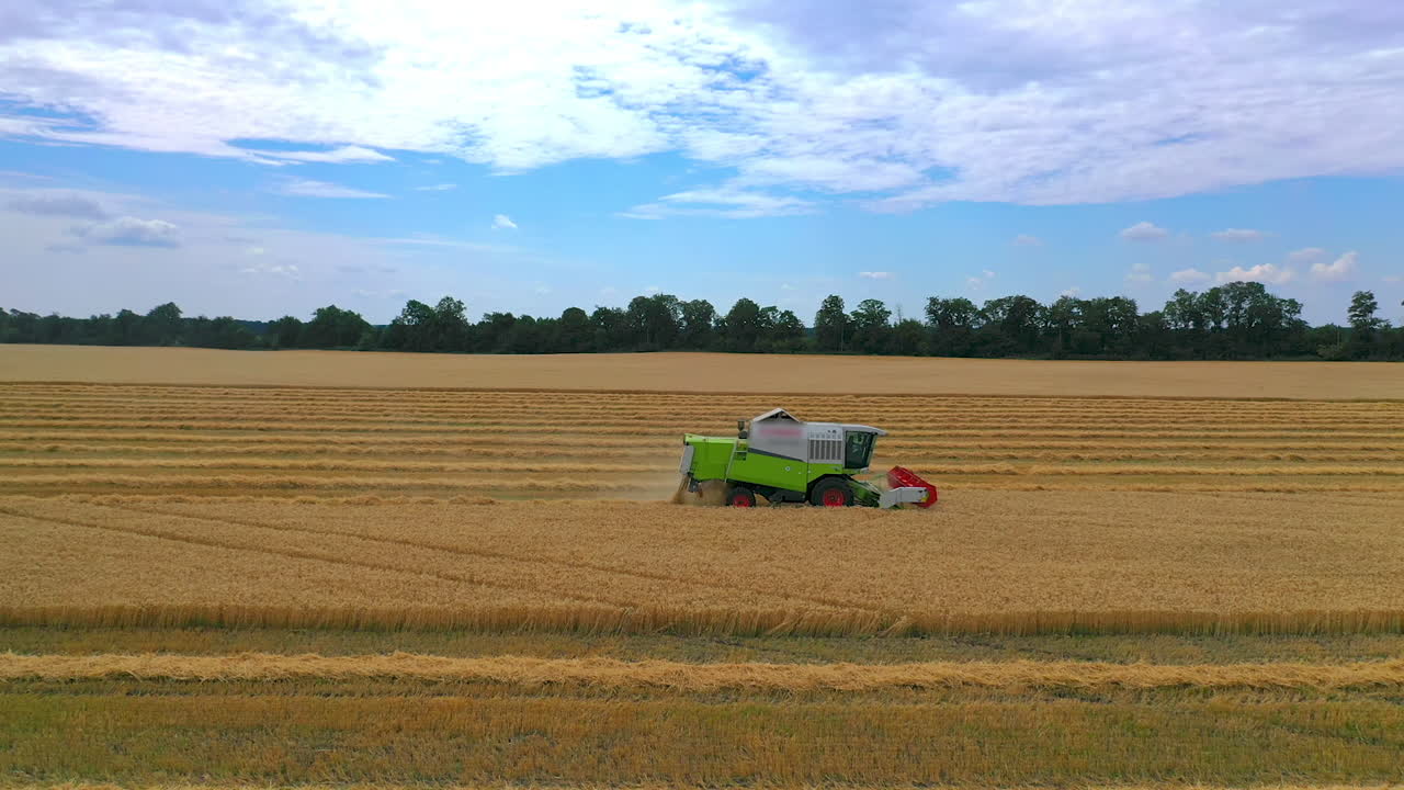 Green grain harvesting combine in a sunny day. Yellow field with grain. Agricultural technic works in field. Closeup.