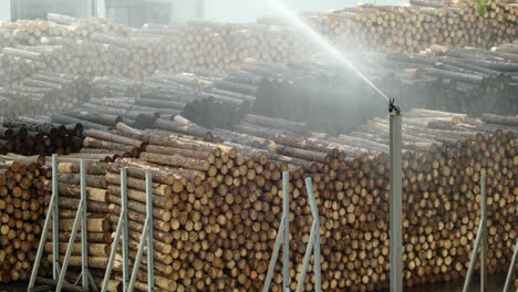 maintaining humidity in timber storage with water spraying