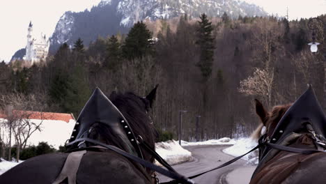 Bavarian-horses-carrying-group-of-tourists-for-a-ride-to-Neuschwanstein-castle-point-of-view-from-the-carriage-4k-footage