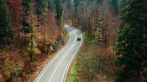 aerial follow shot of a car on a winding mountain road through fall colors