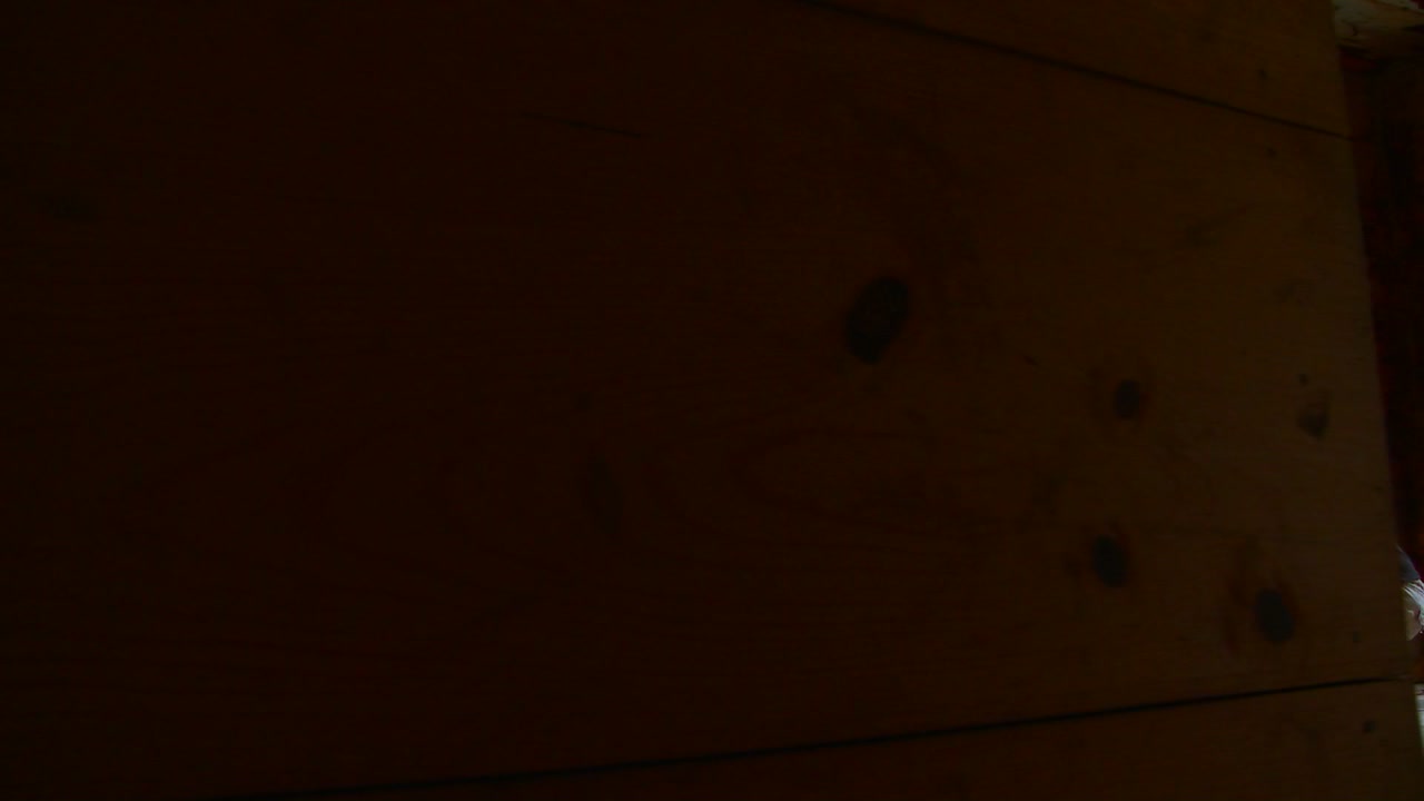 한 여자가 창밖을 내다보는 버려진 집에 앉아 있다