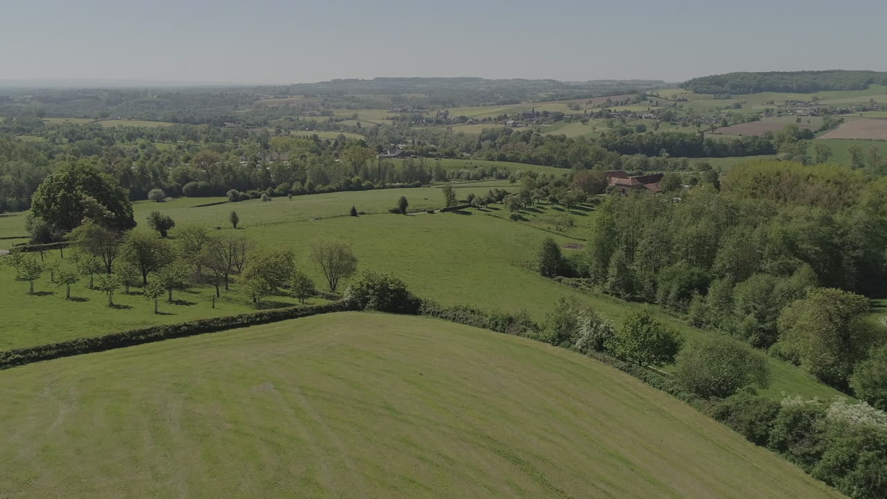 antena: árbol que pasa en primer plano revelando un paisaje soleado y ondulado con efecto de vértigo