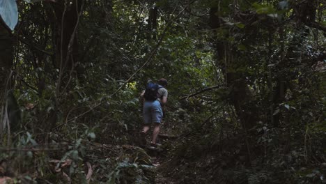 Back view 30s male hiker in dark forest park. Dangerous adventure and travel, man with backpack hiking on trail among mystical trees. Backpacker tourist walking along in forest park nature in dusk